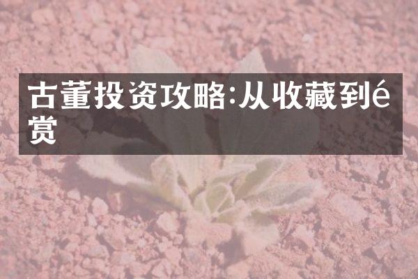 古董投资攻略:从收藏到鉴赏