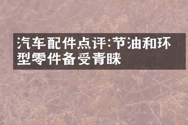 汽车配件点评:节油和环保型零件备受青睐