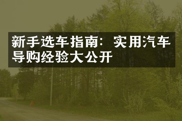 新手选车指南：实用汽车导购经验公开