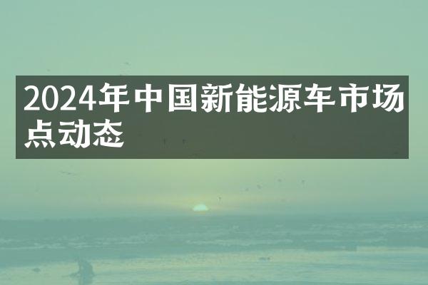 2024年中国新能源车市场热点动态