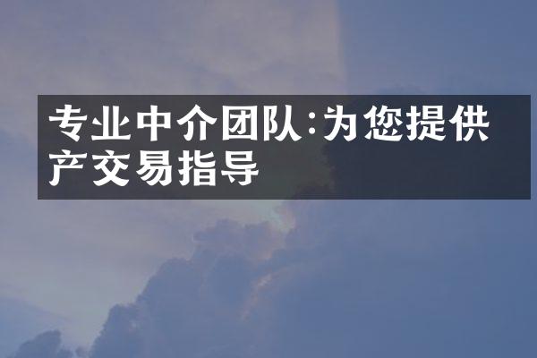 专业中介团队:为您提供房产交易指导