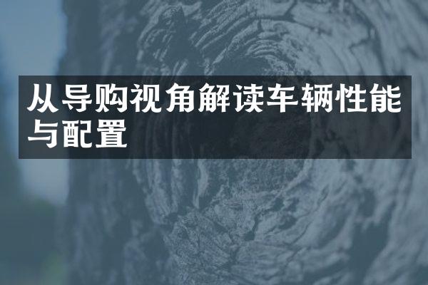 从导购视角解读车辆性能与配置