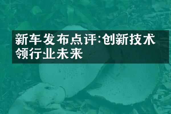 新车发布点评:创新技术引领行业未来