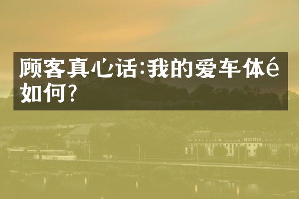 顾客真心话:我的爱车体验如何?