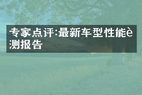 专家点评:最新车型性能评测报告