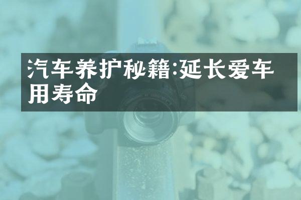 汽车养护秘籍:延长爱车使用寿命