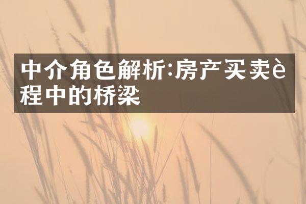 中介角色解析:房产买卖过程中的桥梁