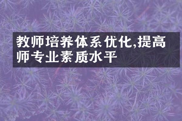 教师培养体系优化,提高教师专业素质水平