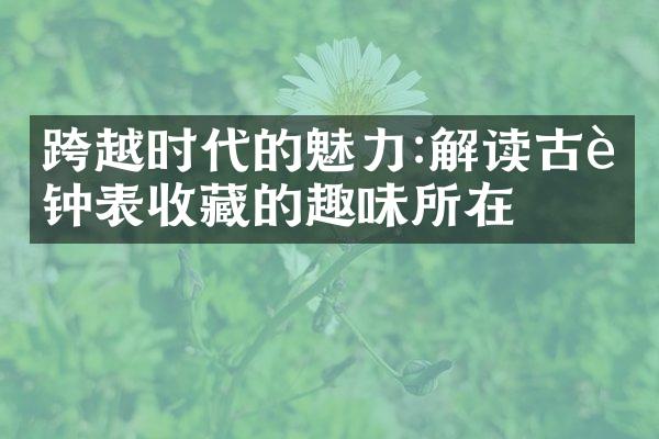 跨越时代的魅力:解读古董钟表收藏的趣味所在