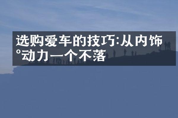 选购爱车的技巧:从内饰到动力一个不落