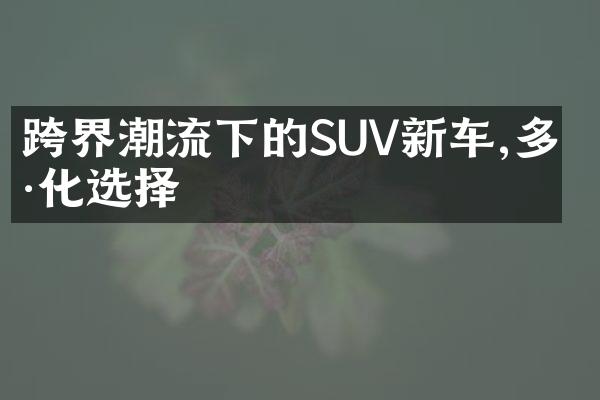 跨界潮流下的SUV新车,多样化选择