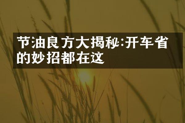 节油良方揭秘:开车油的妙招都在这