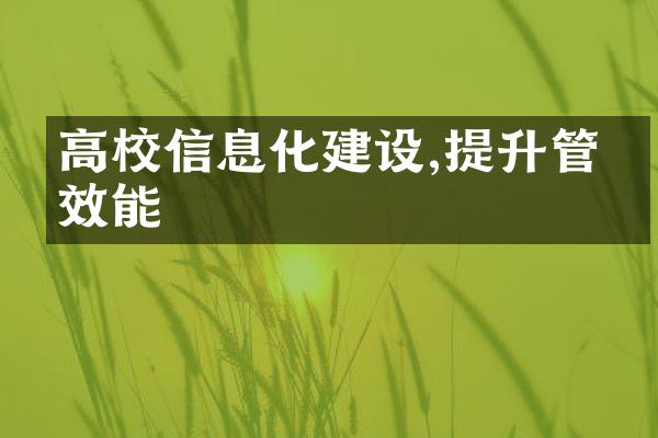 高校信息化建设,提升管理效能