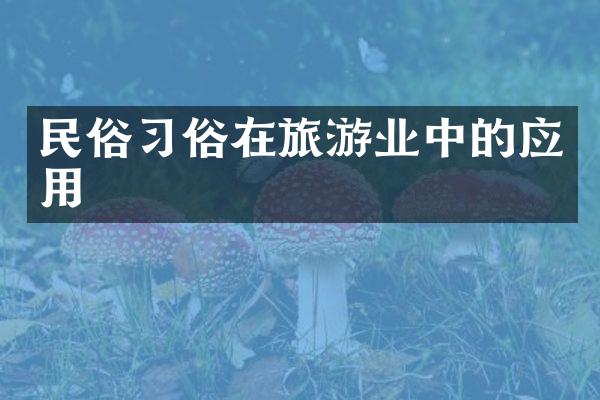 民俗习俗在旅游业中的应用