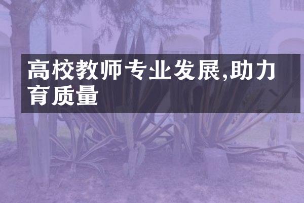 高校教师专业发展,助力教育质量