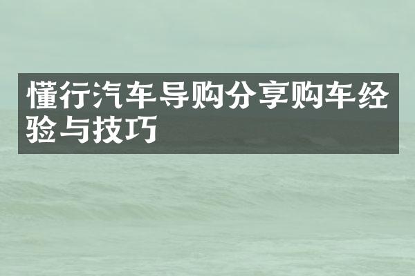 懂行汽车导购分享购车经验与技巧