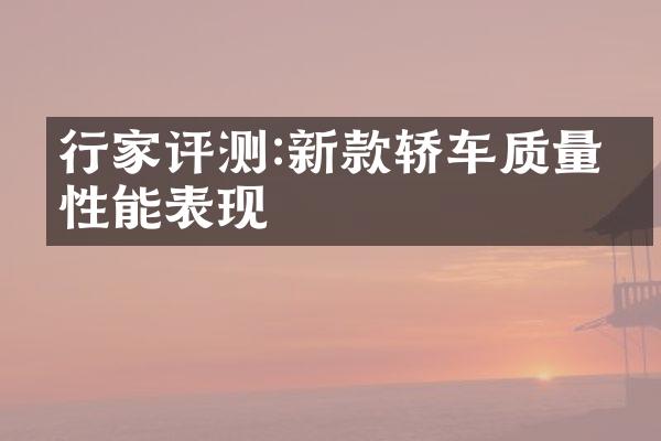 行家评测:新款轿车质量与性能表现