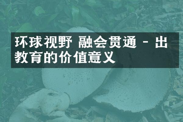 环球视野 融会贯通 - 出国教育的价值意义