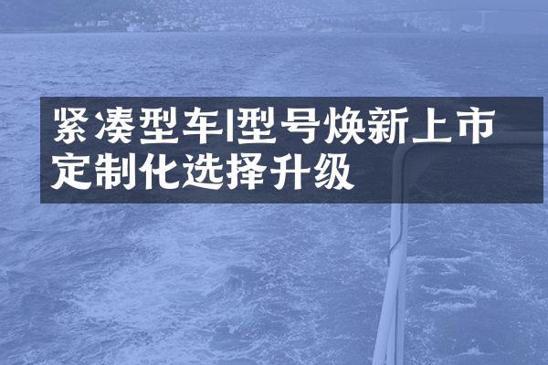 紧凑型车I型号焕新上市，定制化选择升级