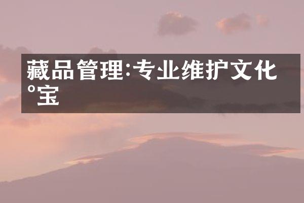 藏品管理:专业维护文化瑰宝