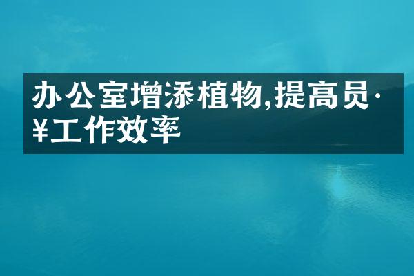 办公室增添植物,提高员工工作效率