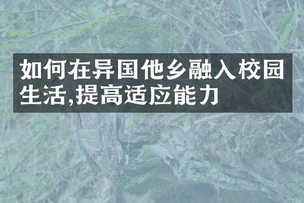 如何在异国他乡融入校园生活,提高适应能力