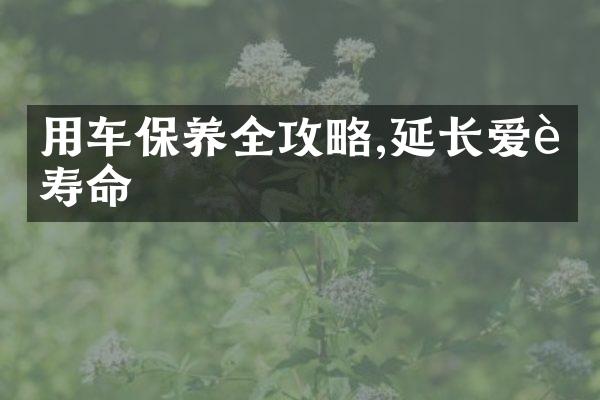 用车保养全攻略,延长爱车寿命