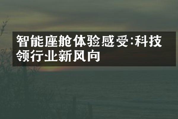 智能座舱体验感受:科技引领行业新风向