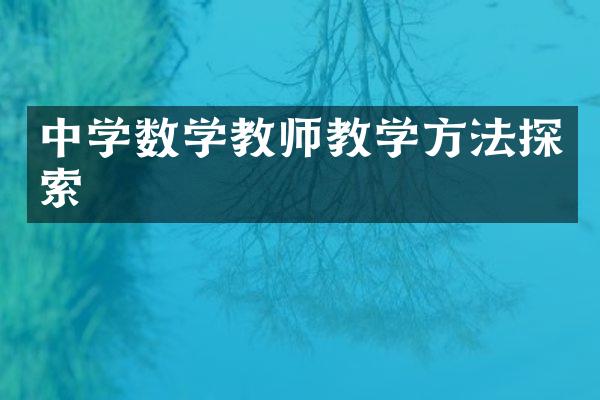 中学数学教师教学方法探索