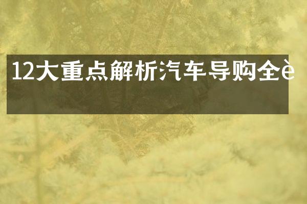 12重点解析汽车导购全貌