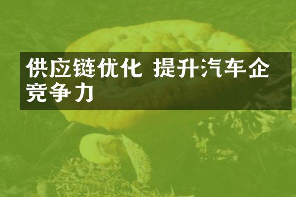 供应链优化 提升汽车企业竞争力