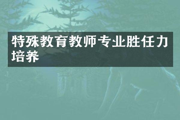 特殊教育教师专业胜任力培养