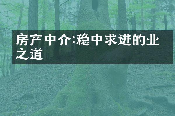 房产中介:稳中求进的业务之道