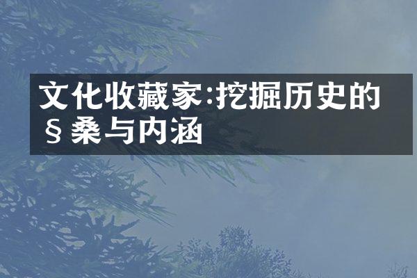 文化收藏家:挖掘历史的沧桑与内涵