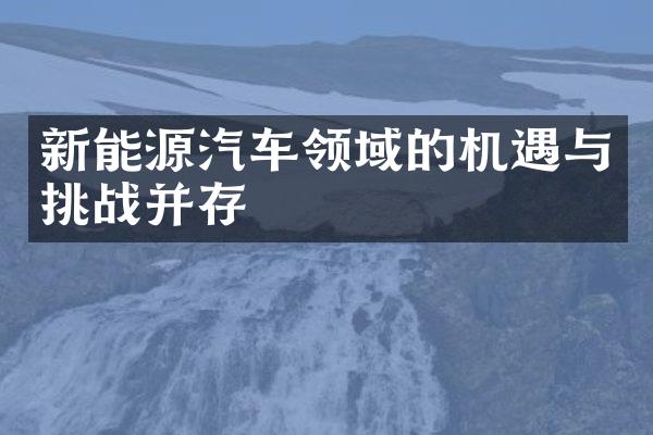 新能源汽车领域的机遇与挑战并存