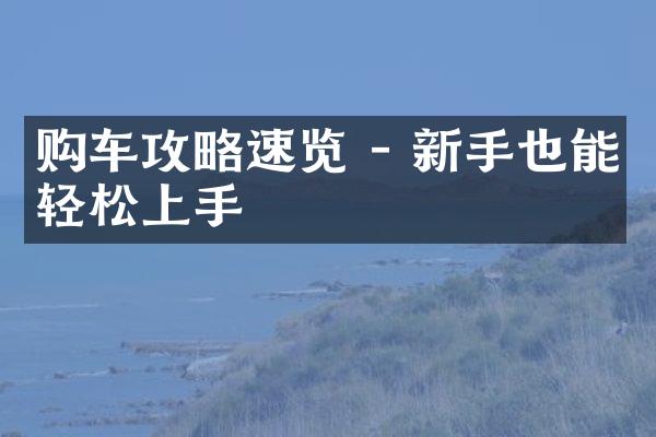 购车攻略速览 - 新手也能轻松上手