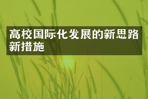 高校国际化发展的新思路新措施