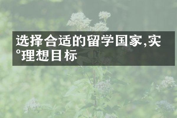 选择合适的留学国家,实现理想目标