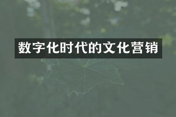 数字化时代的文化营销