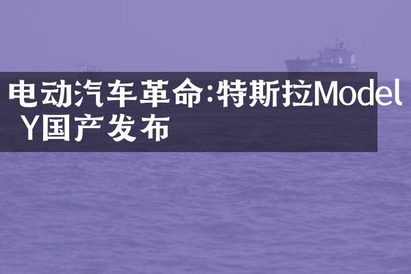 电动汽车革命:特斯拉Model Y国产发布