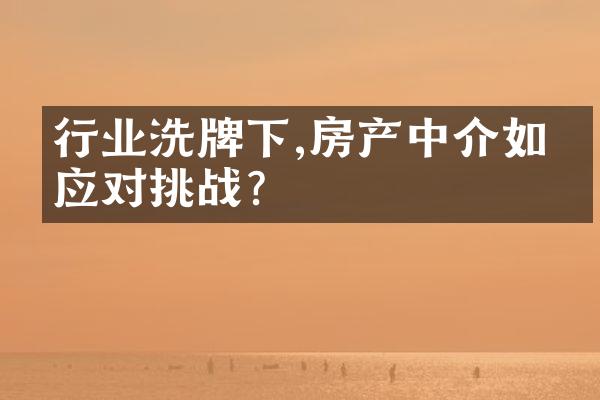 行业洗牌下,房产中介如何应对挑战?