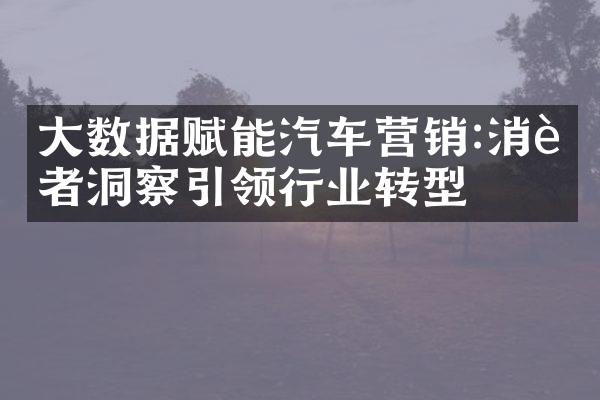 大数据赋能汽车营销:消费者洞察引领行业转型