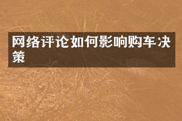 网络评论如何影响购车决策