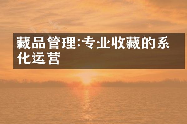 藏品管理:专业收藏的系统化运营