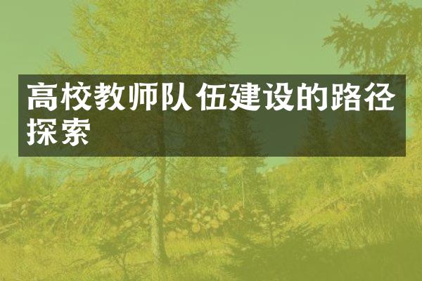 高校教师队伍建设的路径探索