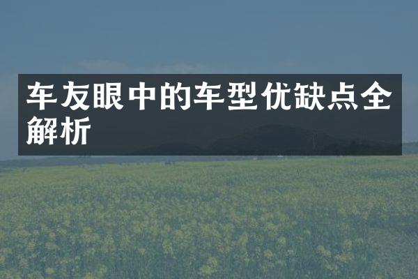 车友眼中的车型优缺点全解析