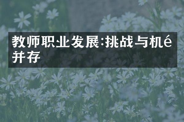 教师职业发展:挑战与机遇并存