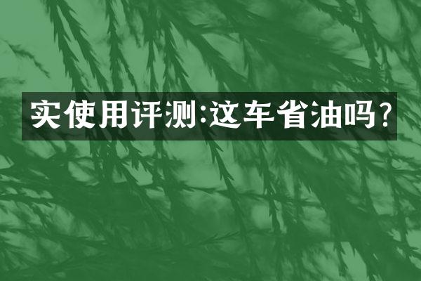 实使用评测:这车省油吗?