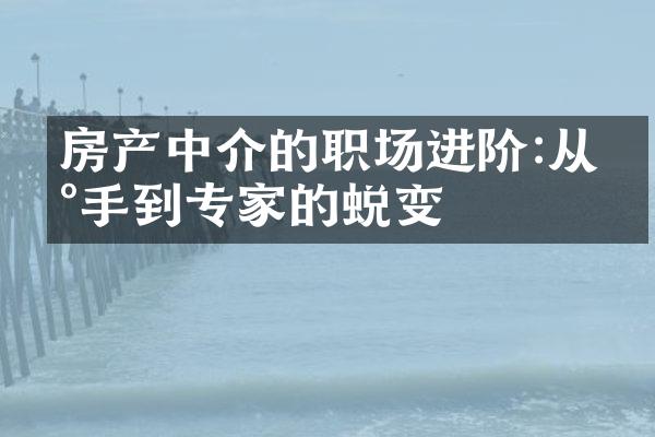 房产中介的职场进阶:从新手到专家的蜕变