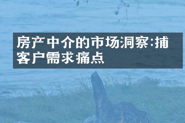 房产中介的市场洞察:捕捉客户需求痛点